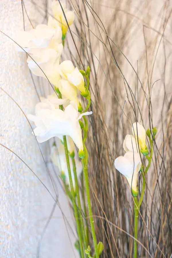 #1 Modernes Zimmer Mit Pool Und Garten Memmingen
